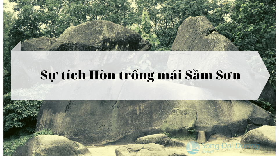 về thăm Hòn <span class='marker'>chết sống</span> Sầm Sơn