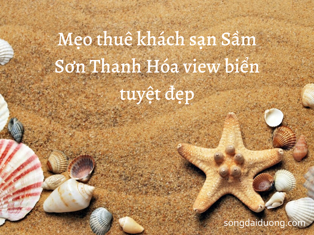 Mẹo thuê khách sạn Sầm Sơn Thanh Hóa view biển tuyệt đẹp