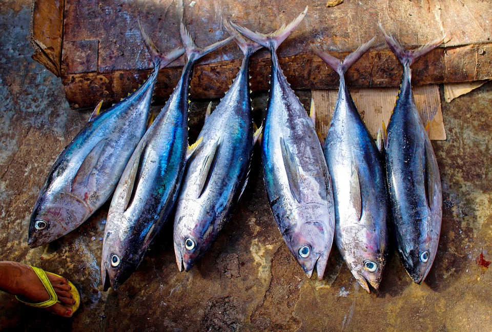 hải sản cá thu
