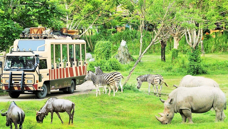 FLC Zoo Safari Park Quy Nhơn 